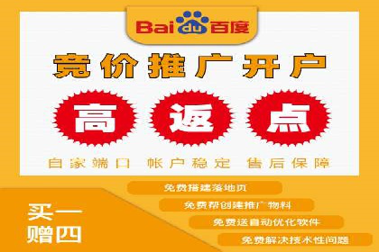 某品牌SEM广告投放效果全解析